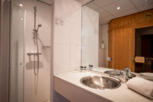 Tweepersoonskamer met sauna Type D